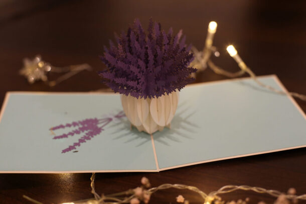 Collection Les plus Belles Fleurs d'Été-carte Pop Up 3D chez cartepopup.com