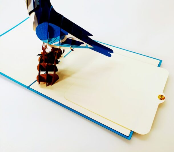 Geai bleu un bel oiseau intelligent-carte Pop Up 3D, carte de voeux, carte de félicitations, souvenirs chez cartepopup.com