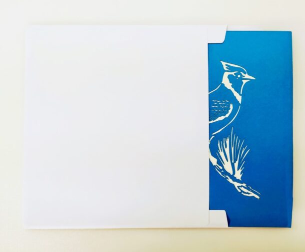 Geai bleu un bel oiseau intelligent-carte Pop Up 3D, carte de voeux, carte de félicitations, souvenirs chez cartepopup.com