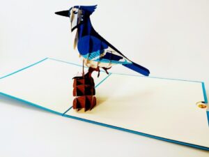 carte pop up oiseau - Geai bleu un bel oiseau intelligent-carte Pop Up 3D, carte de voeux, carte de félicitations, souvenirs chez cartepopup.com